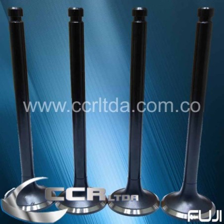 VALVULA ESC. CANTER 4D31 4D34 8V (JGOX4)