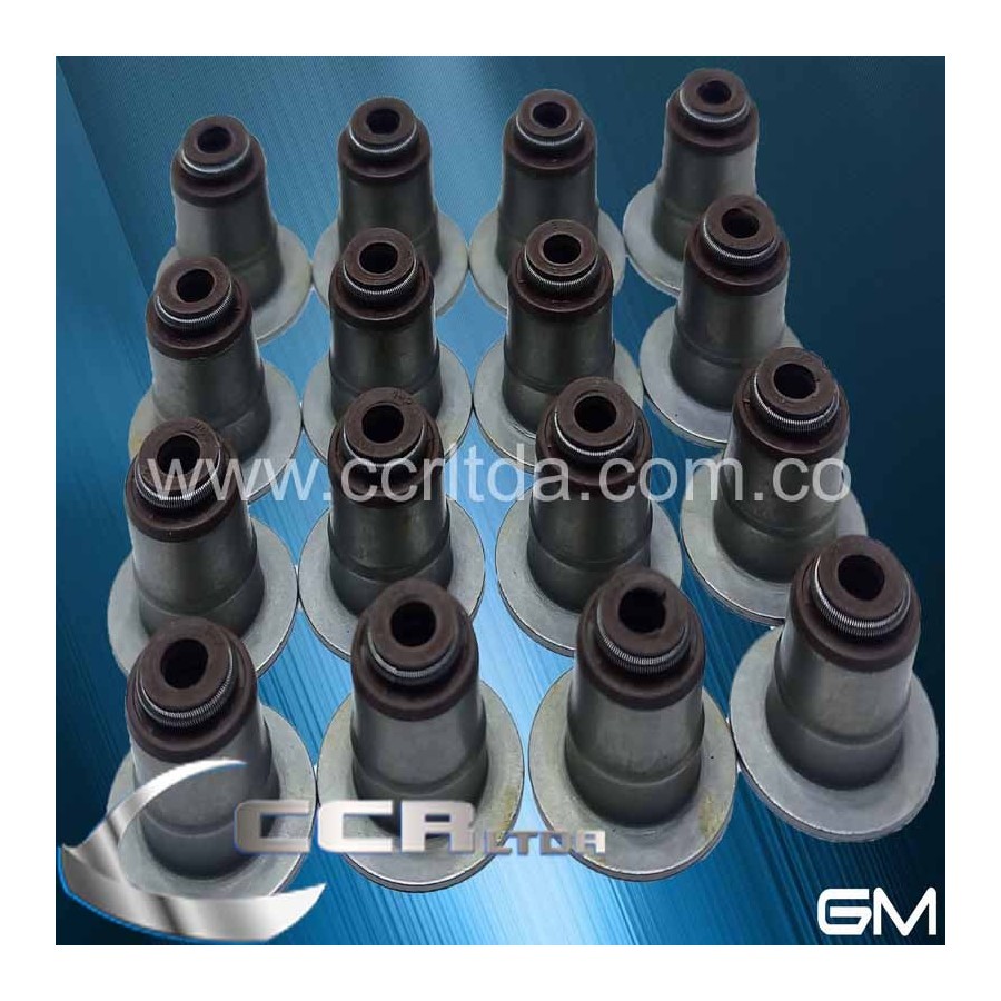 CAUCHOS VAL. N200 N300 (UNIDAD)