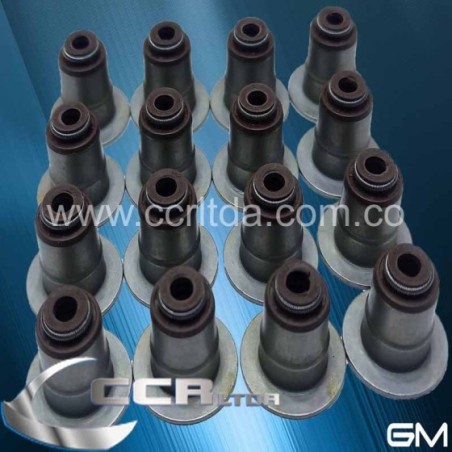 CAUCHOS VAL. N200 N300 (UNIDAD)