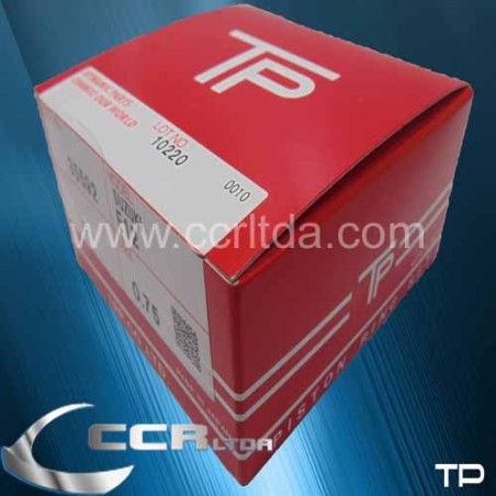 ANILLOS ESTEEM 1600 VITARA 1600 (75mm)