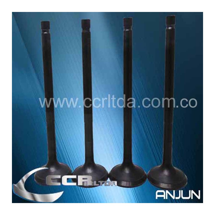 VALVULA ESC. KIA PREGIO 2700 GRAND PREGIO 3000 8V (JGOX4)