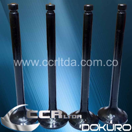 VALVULA ESC. KIA BESTA 2700 DIESEL 8V (JGOX4)