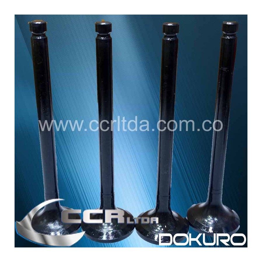 VALVULA ESC. KIA BESTA 2700 DIESEL 8V (JGOX4)