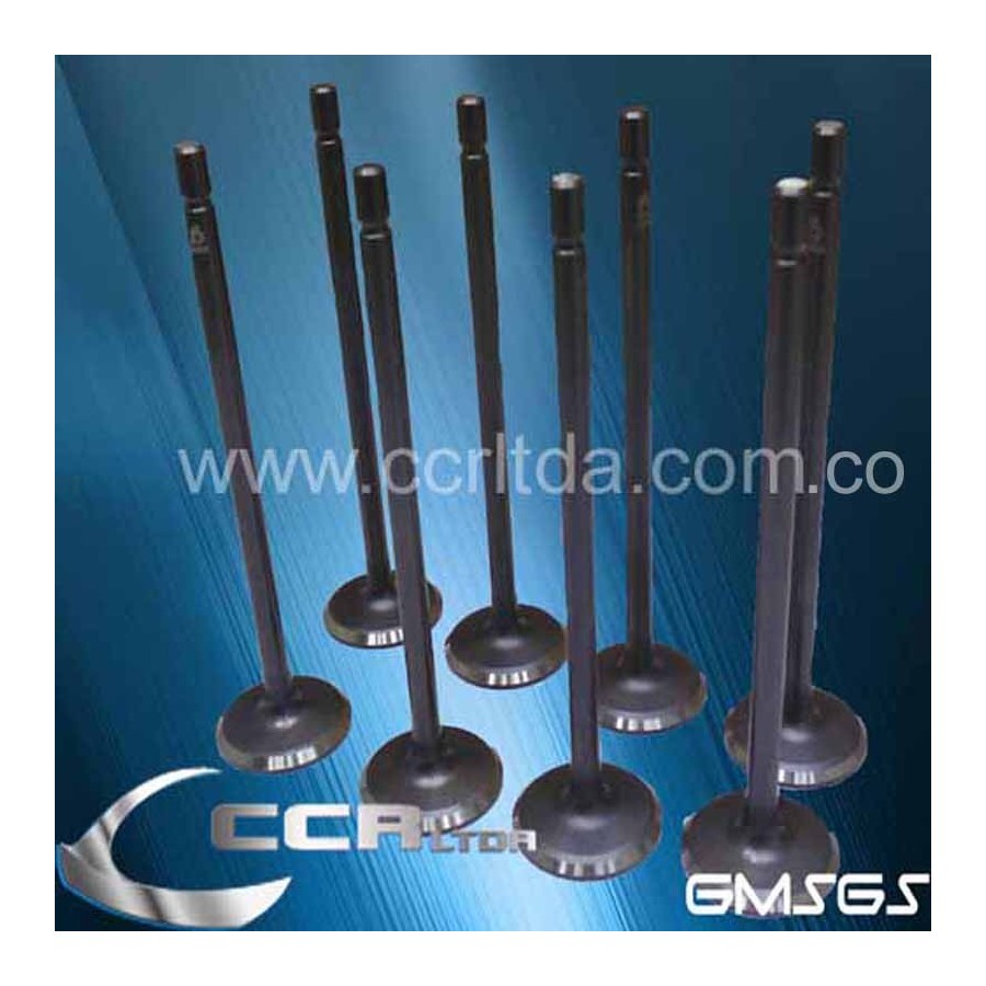 VALVULA ADM. N200 N300 16V (JGOX8)