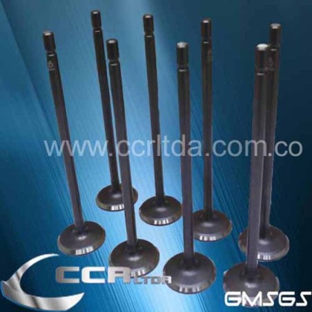 VALVULA ADM. N200 N300 16V (JGOX8)