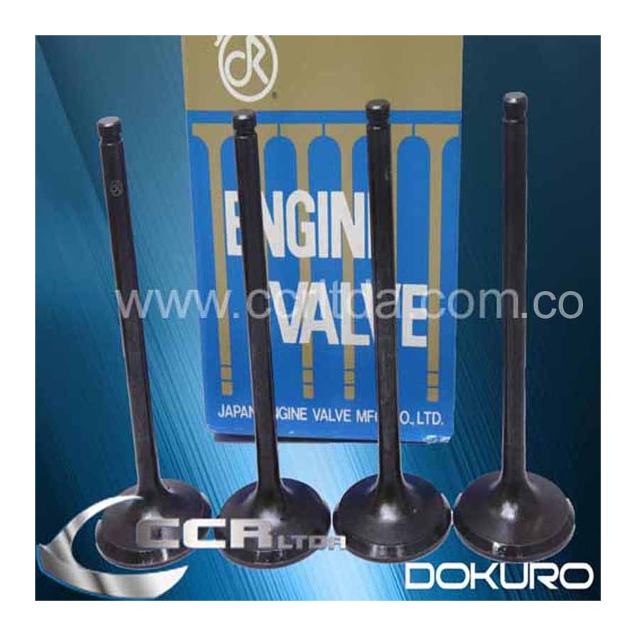 VALVULA ADM. NISSAN MT3000 TD27 TD42 8V (JGOX4)