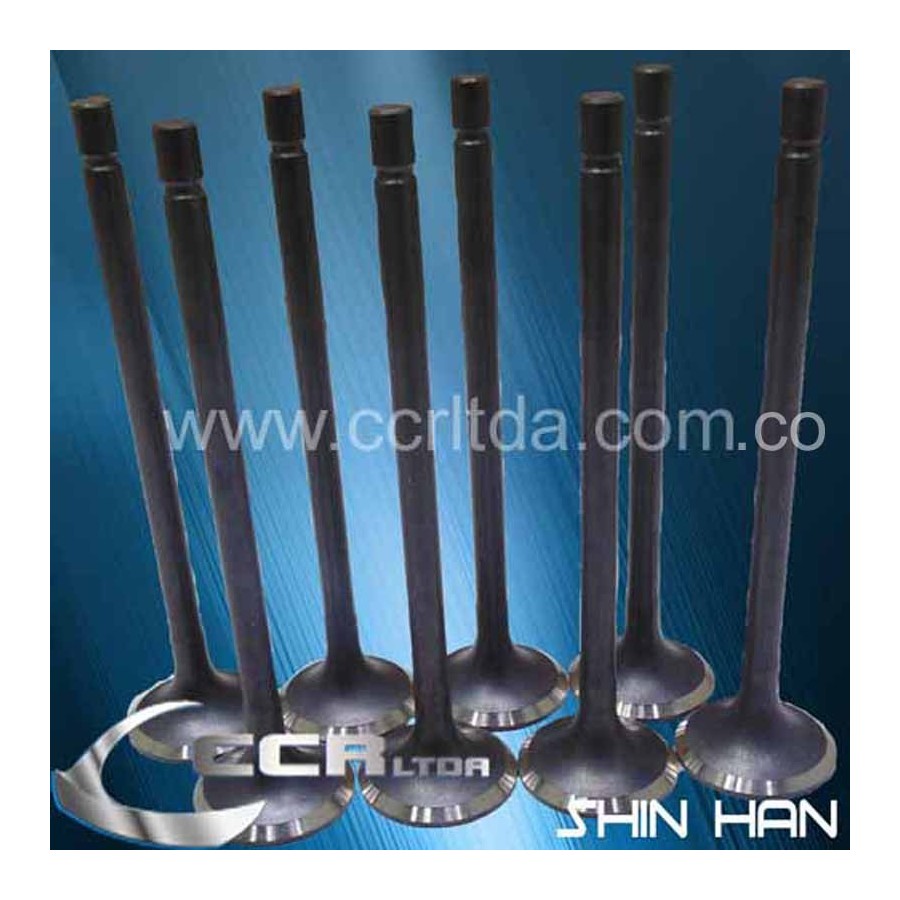 VALVULA ESC. N200 N300 16V (JGOX8)