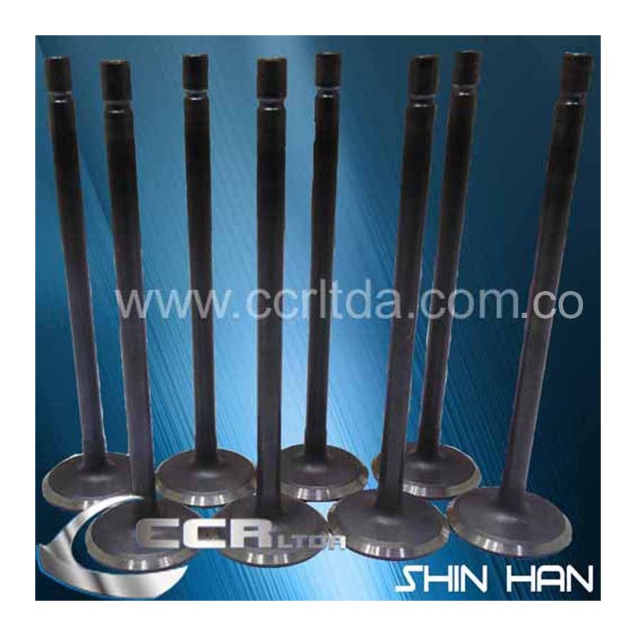 VALVULA ADM. N200 N300 16V (JGOX8)