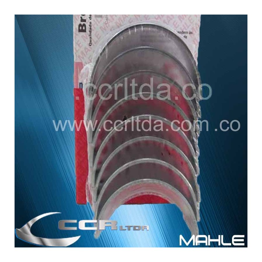 C. BIELA CAPTIVA 2.4 HHR (025)