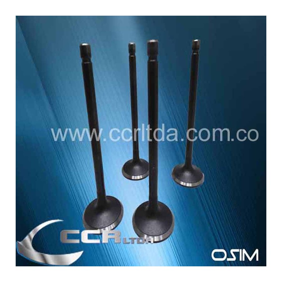 VALVULA ADM. NKR LUV 2500 (JGOX4)