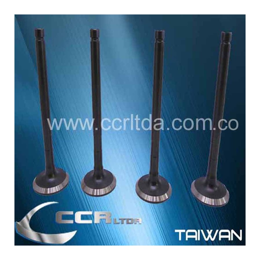 VALVULA ESC. F20 8V (JGOX4)