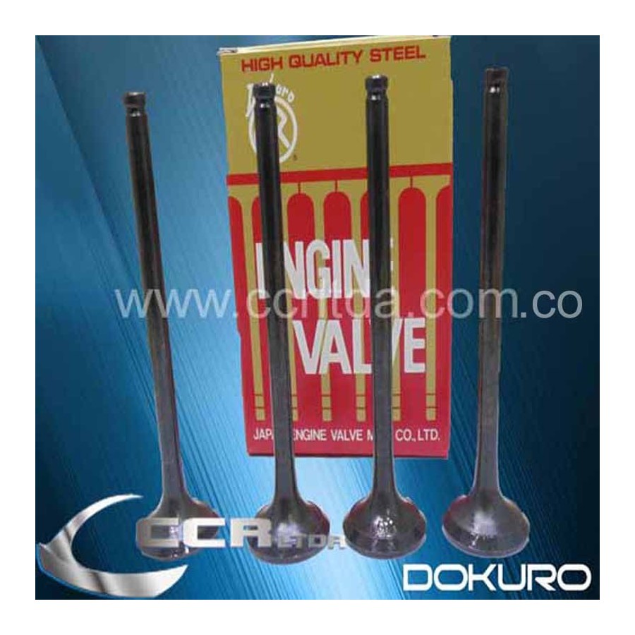 VALVULA ESC. HYUNDAI STAREX D4BH 8V (JGOX4)