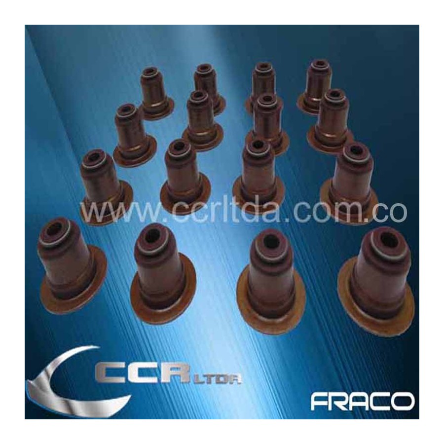 CAUCHOS VAL. DODGE JOURNEY 2.4