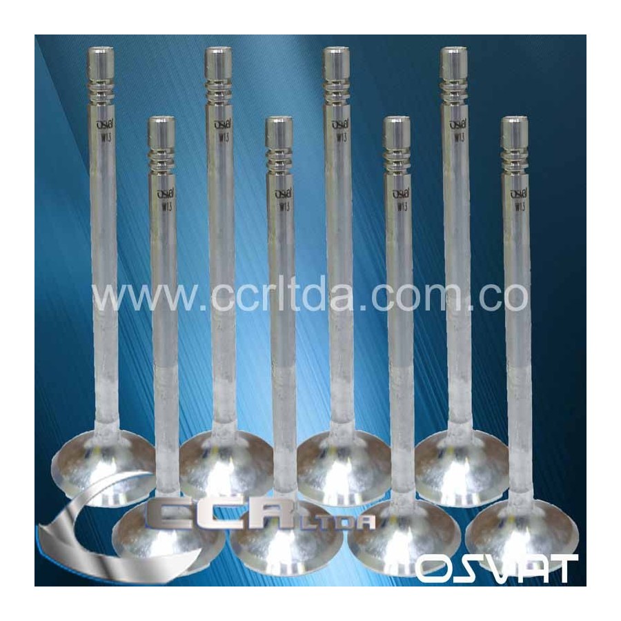 VALVULA ESC. CAPTIVA 2400 16V (JGOX8)