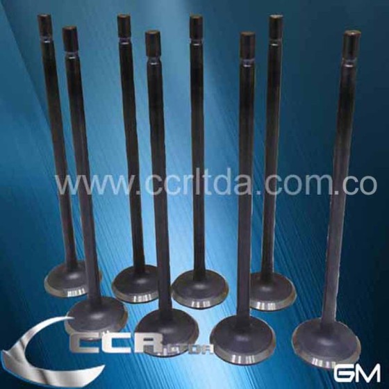 VALVULA ADM. N200 N300 SPARK GT (JGOX8)