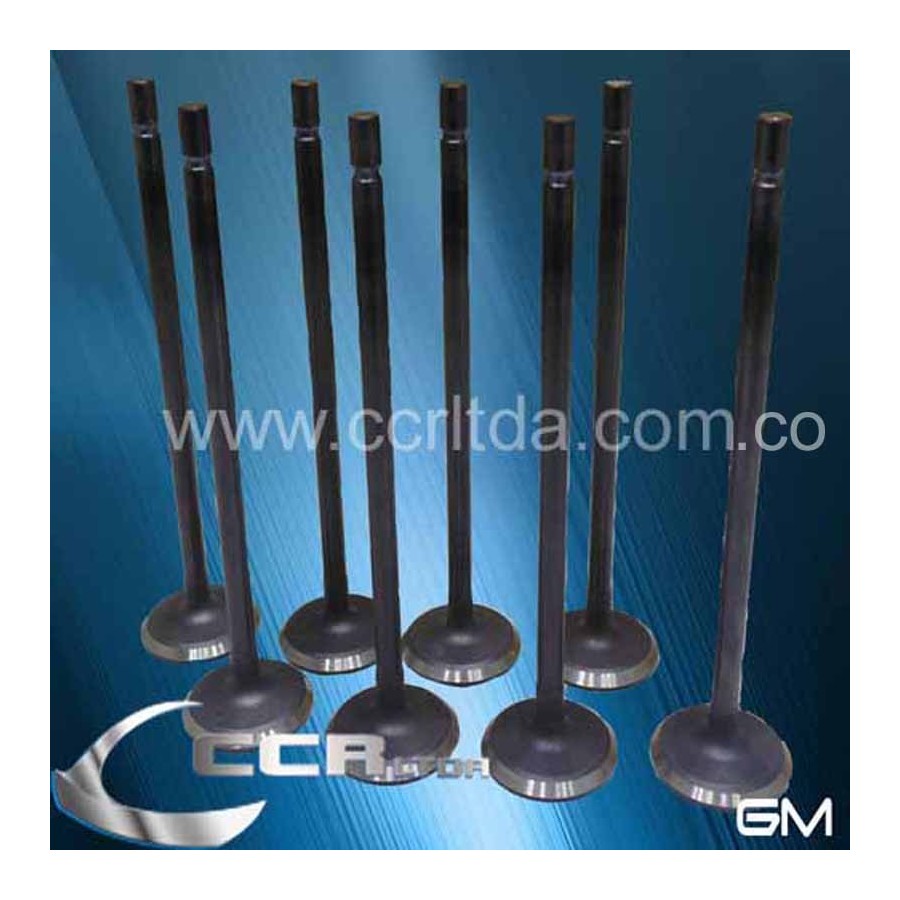 VALVULA ADM. N200 N300 SPARK GT (JGOX8)