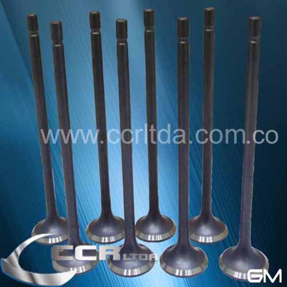 VALVULA ESC. N200 N300 SPARK GT(JGOX8)