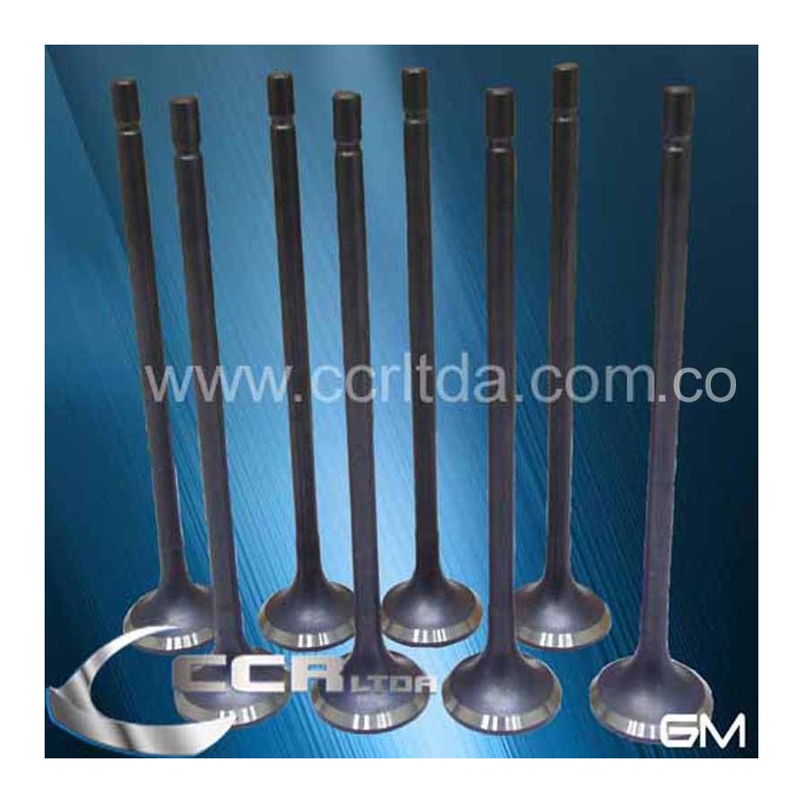 VALVULA ESC. N200 N300 SPARK GT(JGOX8)