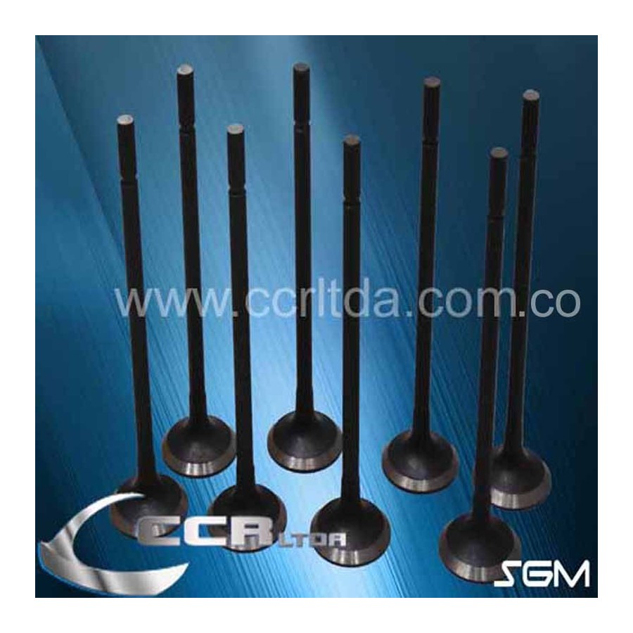 VALVULA ESC. N300 PICK UP 1500 CC (JGOX8)