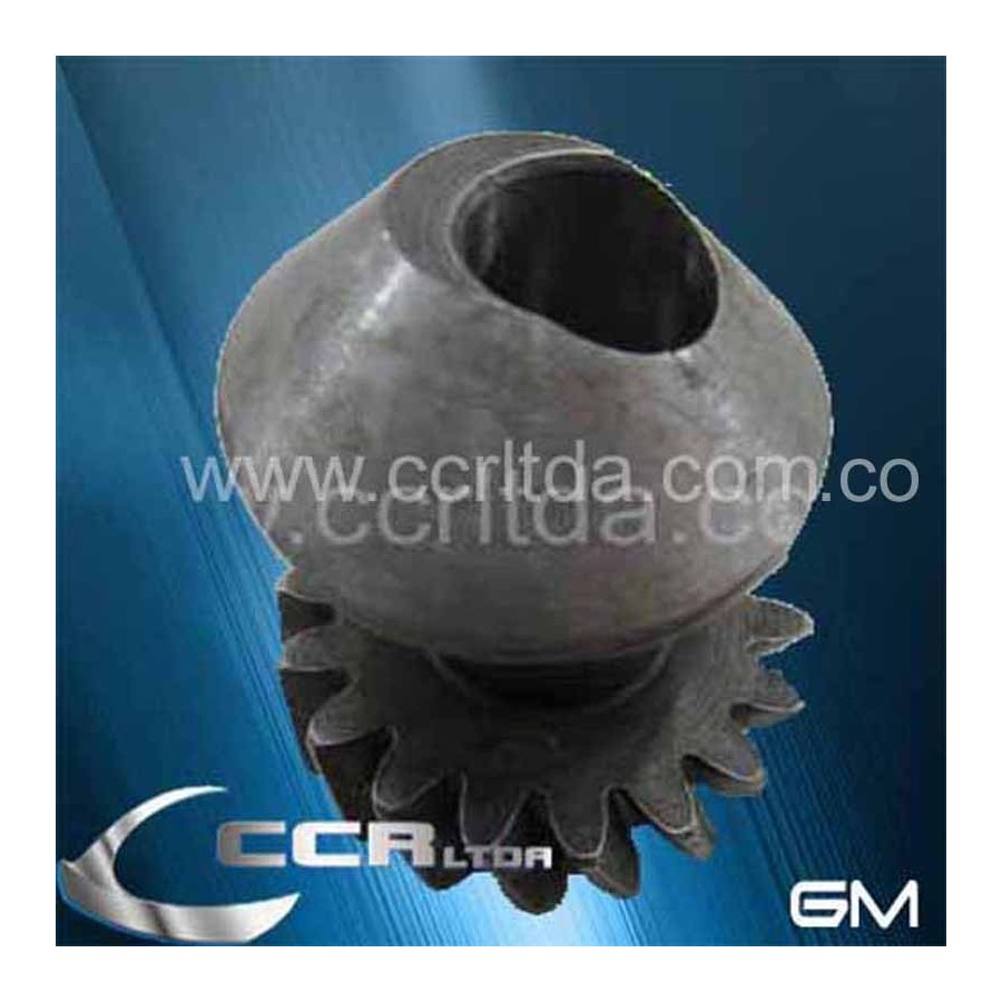 PIÑON TAIMER CHEVETTE