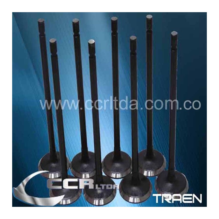 VALVULA ADM. N200 N300 (JGOX8)