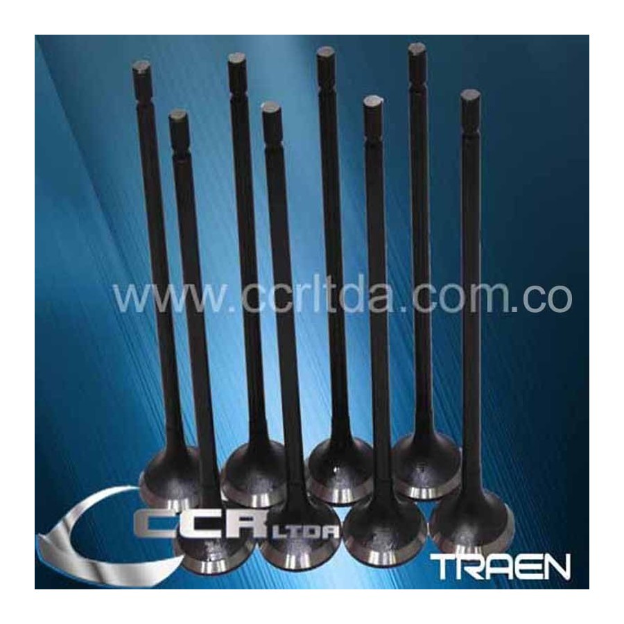 VALVULA ESC. N200 N300 (JGOX8)