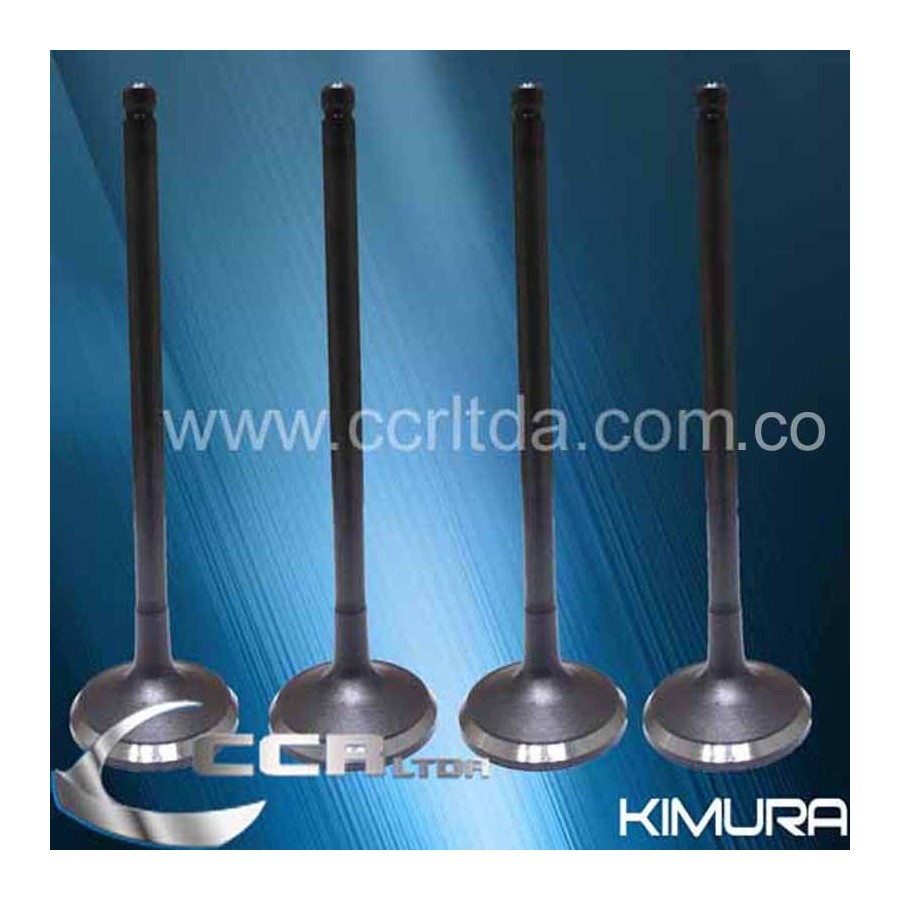 VALVULA ADM. NISSAN MT-3000 TD-27 (JGOX4)