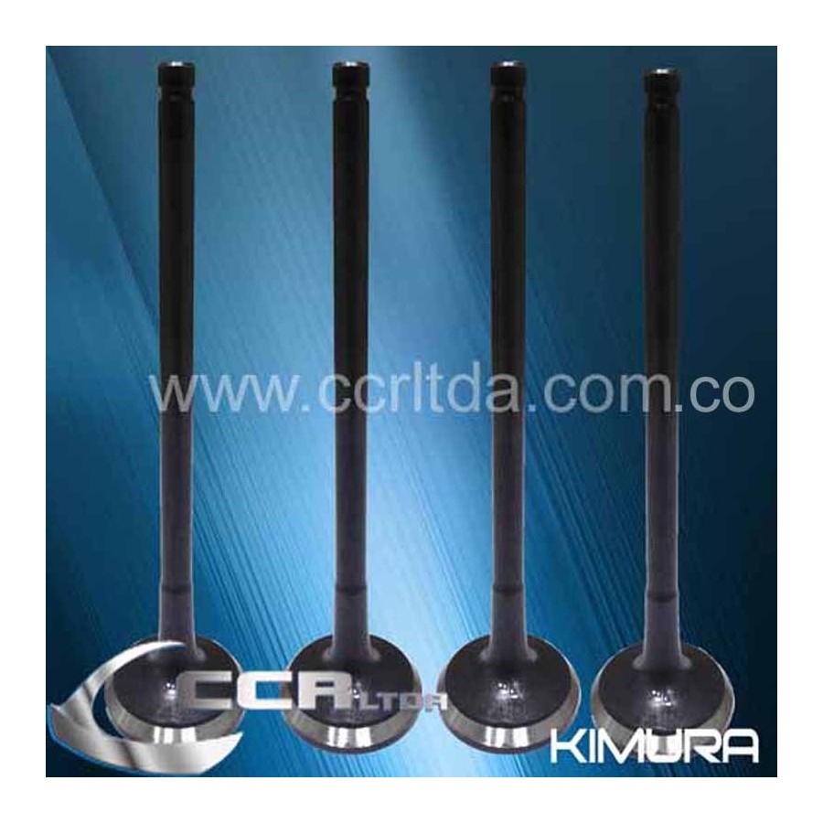 VALVULA ESC. NISSAN TD27 MT-3000 TD-42(JGOX4)