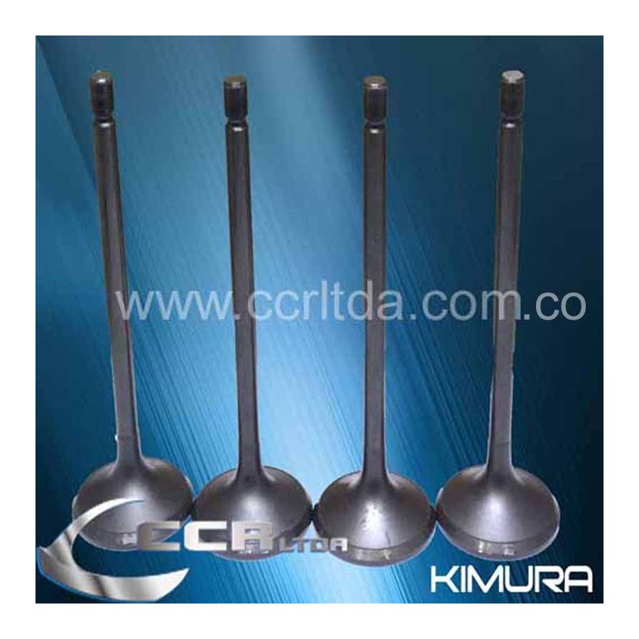 VALVULA ADM. NPR 2000/... 4HG1(JGOX4)