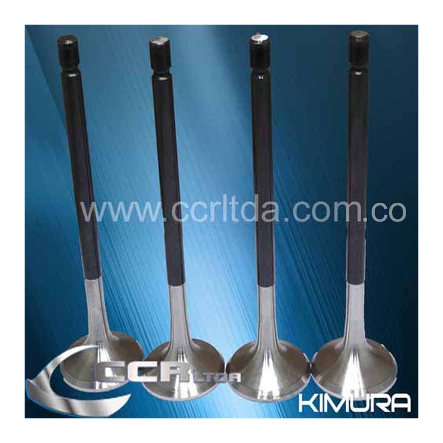 VALVULA ESC. NPR 2000/... (4HG1 JGOX4)