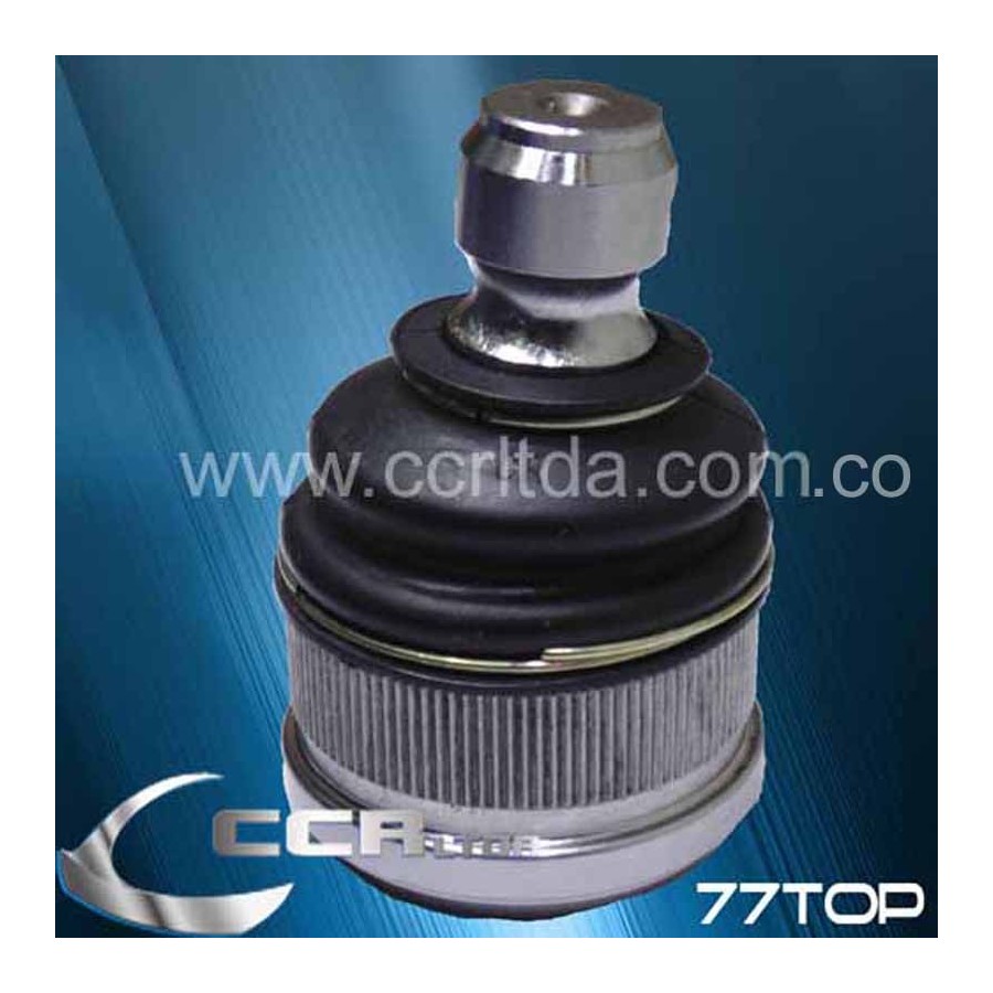 ROTULA INF. 626 CTE ASAHI MATSURI