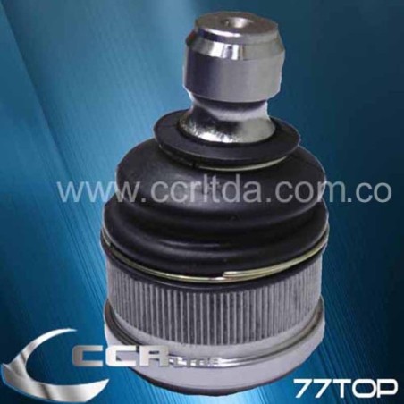 ROTULA INF. 626 CTE ASAHI MATSURI