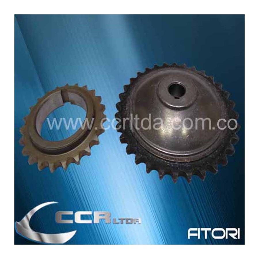 PIÑON B. ACEITE MONTERO 87/...(GRANDE/PEQUEÑO)