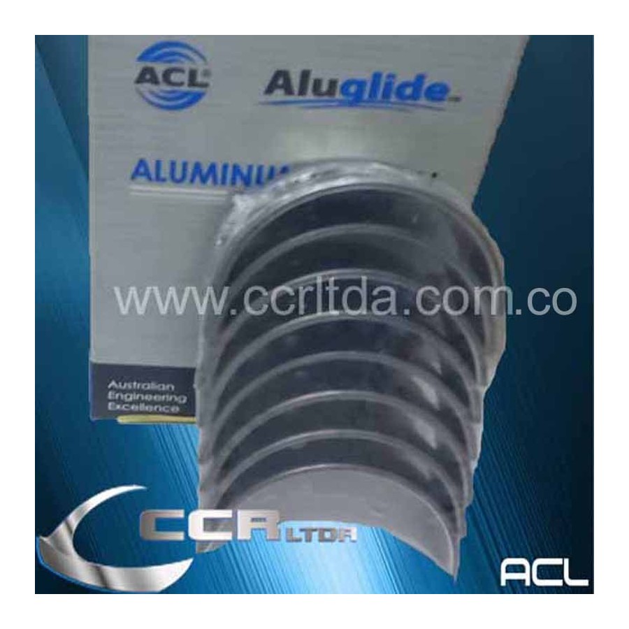 C. BIELA 323 ALLEGRO FESTIVA (025)