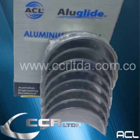 C. BIELA 323 ALLEGRO FESTIVA (025)