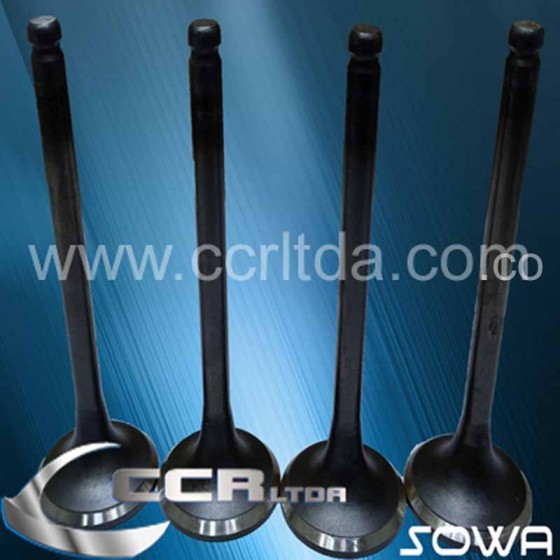 VALVULA ESC. MONTERO 88/96 (JGOX4)