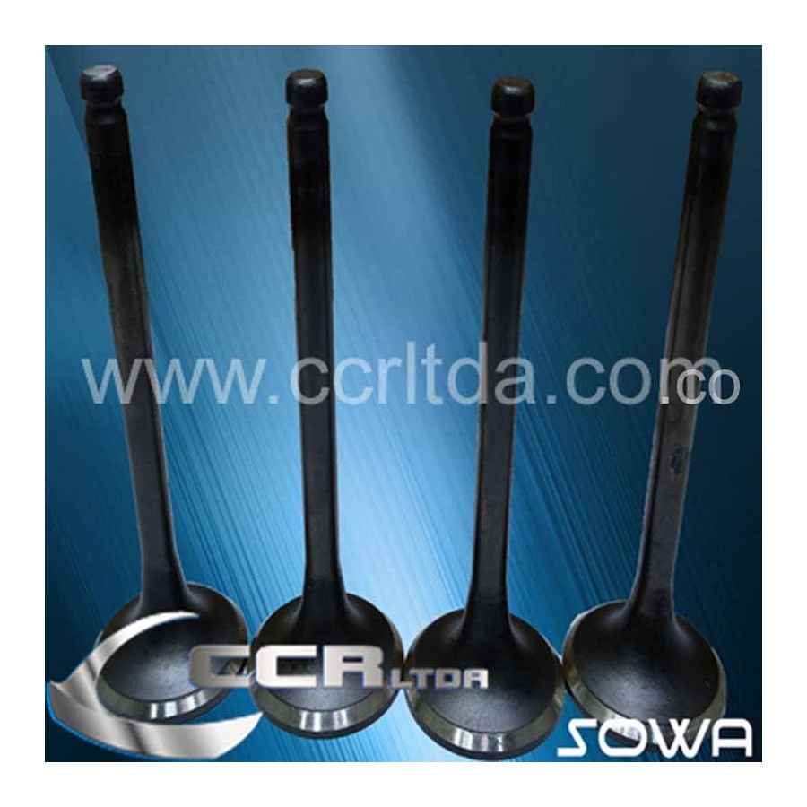 VALVULA ESC. MONTERO 88/96 (JGOX4)