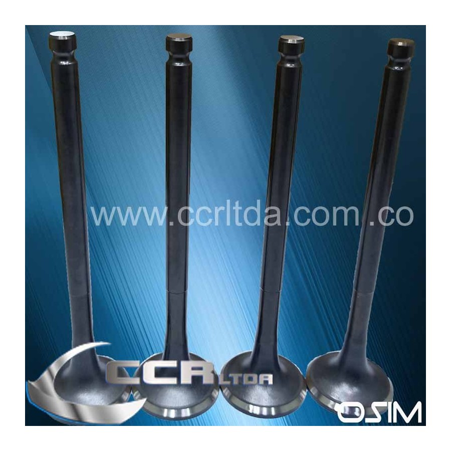 VALVULA ESC. NPR 3.5 3.9 4BD1-2T JAC 1061 (JGOX4)