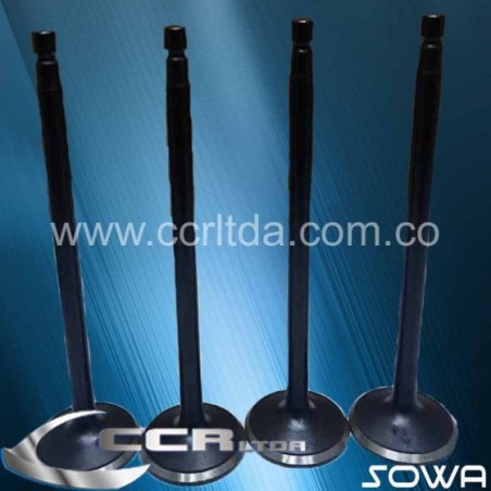 VALVULA ESC. NISSAN VANNET KA24 2400cc 12 VAL (JGOX4)