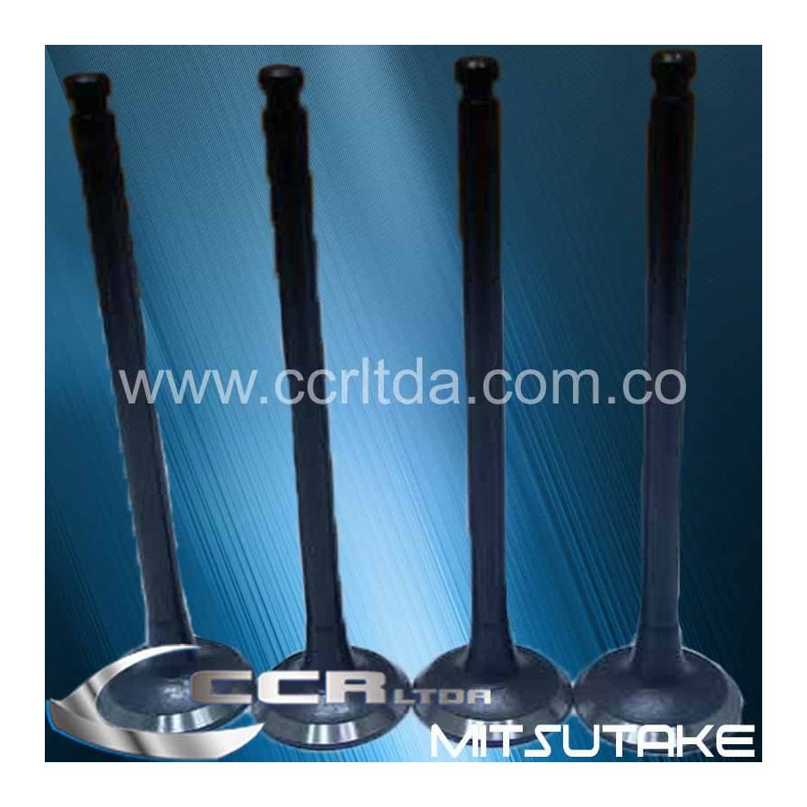 VALVULA ESC. NISSAN SENTRA B13 8V (JGOX4)