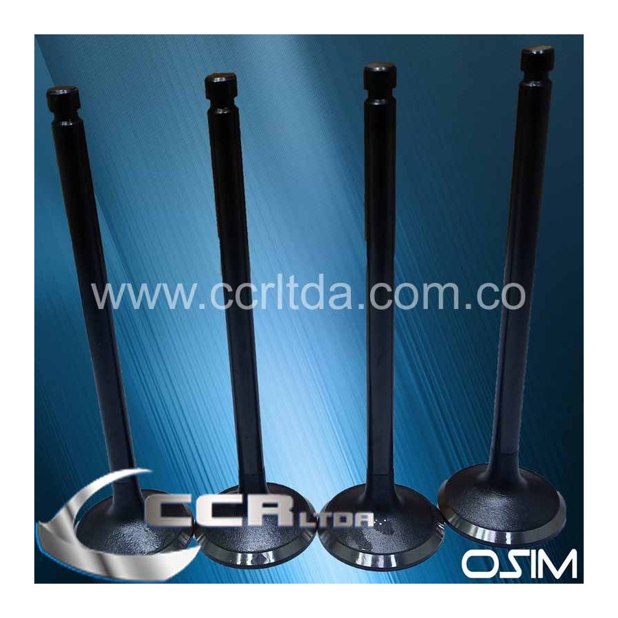 VALVULA ADM. CANTER 8V (JGOX4)