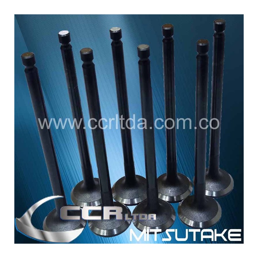 VALVULA ESC. HYUNDAI ATOS