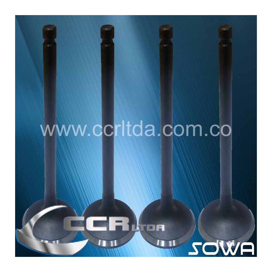 VALVULA ADM. KIA GRAND PREGIO 3.000(PLATO 44mm)