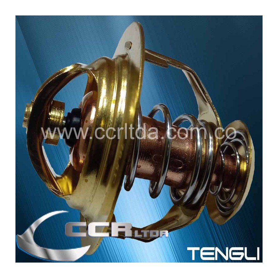 TERMOSTATO NISSAN SAMURAI P40