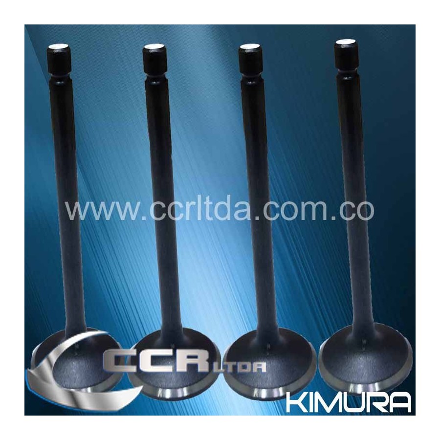 VALVULA ADM. NKR NHR LUV 2500 8V (JGOX4)