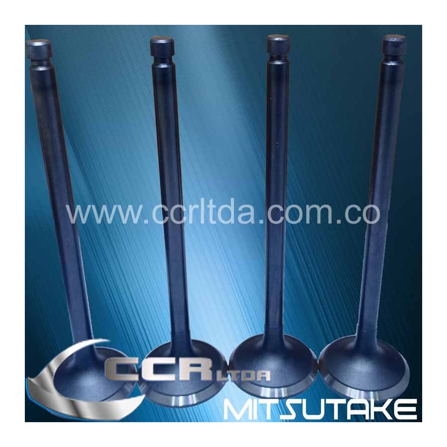 VALVULA ADM. CANTER 4D31 4D34 8V (JGOX4)