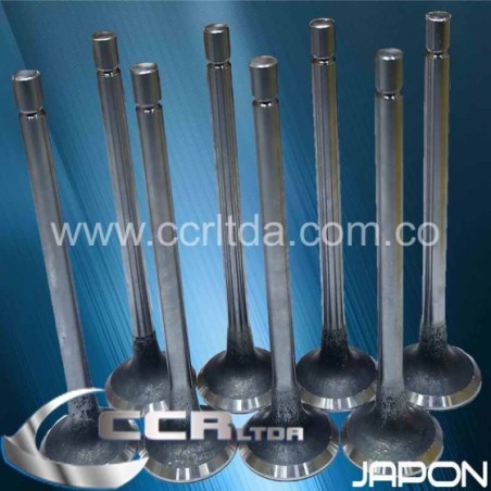 VALVULA ESC. NKR REWARD 4JJ1 DIMAX RT50 (JGOX8)