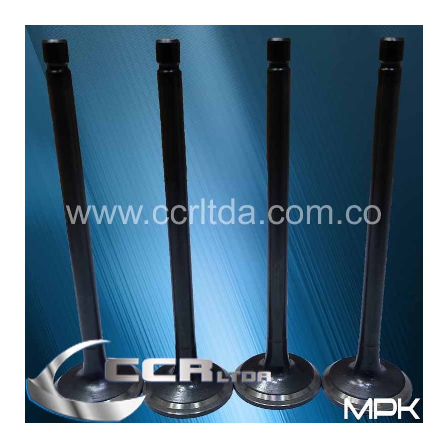 VALVULA ESC. HYUNDAI H-100 PORTER (132X34) 8V (JGOX4)