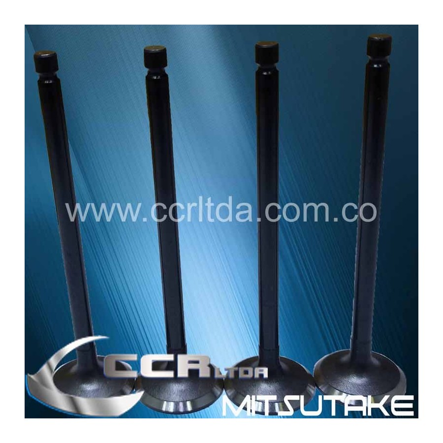 VALVULA ESC. SUPERCARRY SJ-410 LJ-80 8V (JGOX4)