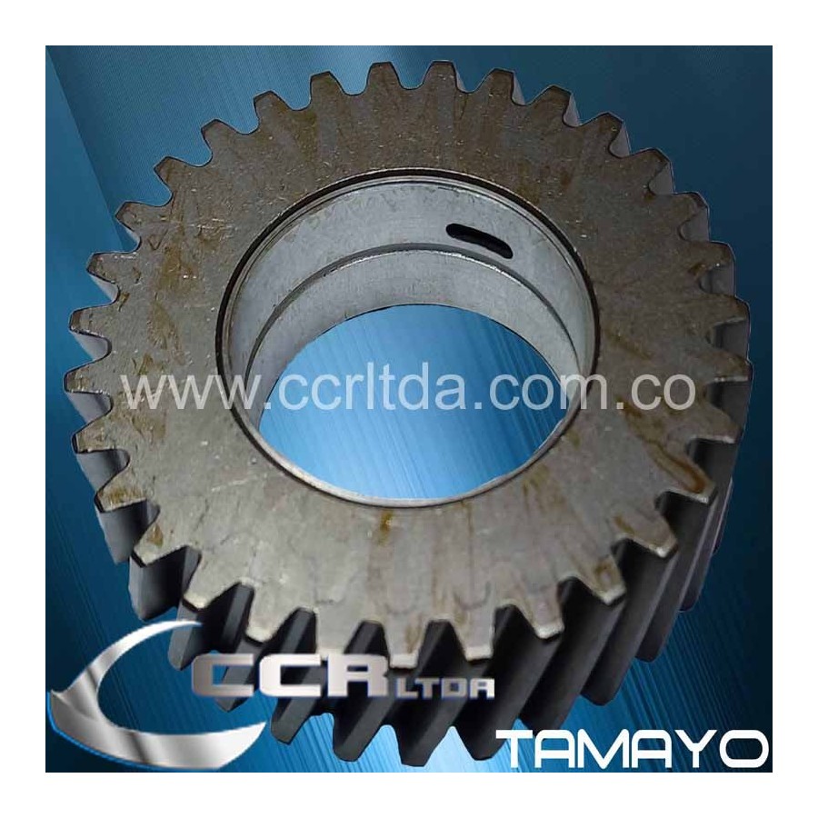 PIÑON LOCO NKR (31 DIENTES L BUJE)